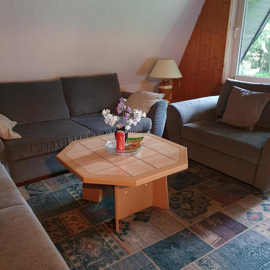 Finnhaus Neubauer Elbingerode  Exteriér fotografie