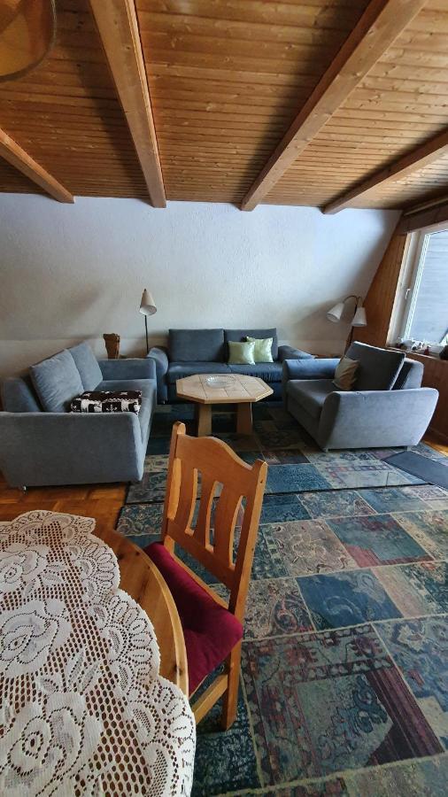 Finnhaus Neubauer Elbingerode  Exteriér fotografie
